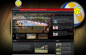 Portal dla pierwszoligowej drużyny siatkówki MKS-MOS Będzin - strona główna