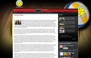 Portal dla pierwszoligowej drużyny siatkówki MKS-MOS Będzin - artykuły