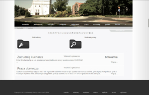 Portal internetowy Trzcianecki.pl - praca