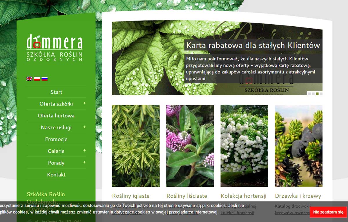 Nowa wersja katalogu produktów Szkółki Roślin Ozdobnych Dammera - strona startowa