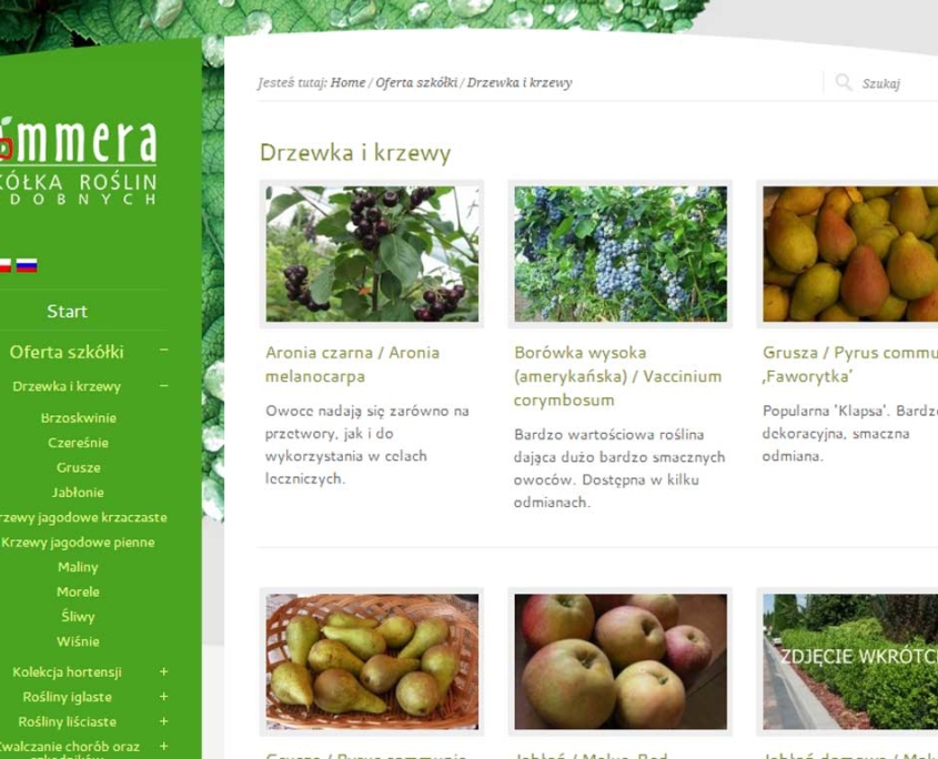 Nowa wersja katalogu produktów Szkółki Roślin Ozdobnych Dammera - prezentacja produktów