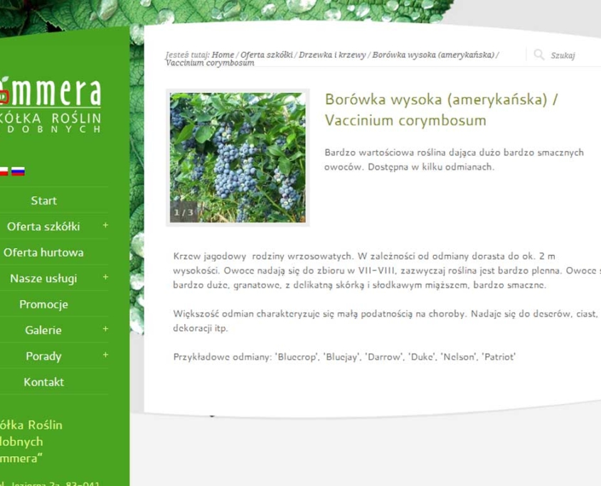 Nowa wersja katalogu produktów Szkółki Roślin Ozdobnych Dammera - karta produktu