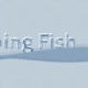 Flapping Fish - gra mobilna dla iOS i Windows Phone